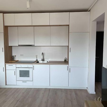 Platinum Luxury Apartment Near Presidential Palace Бухарест Экстерьер фото